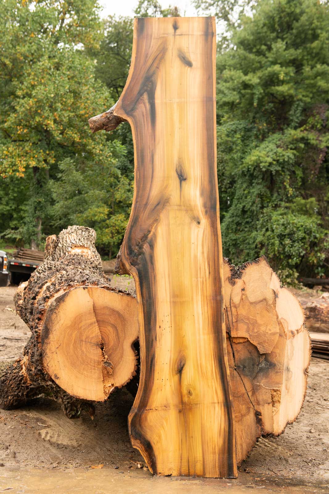 Poplar Live Edge Bar Top