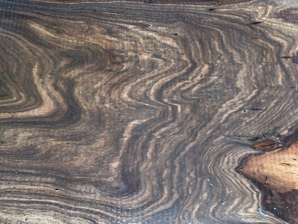 Black Walnut Wood - All The Info About This Wood Species!