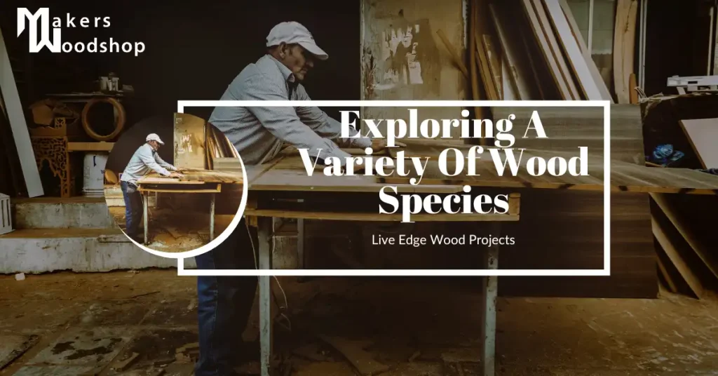 Wood Species